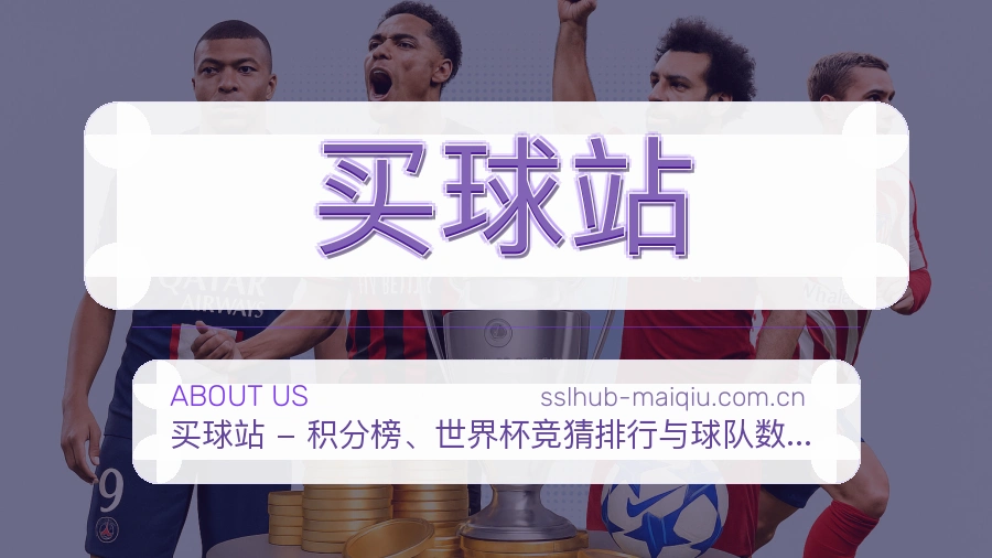 买球站便捷访问服务说明